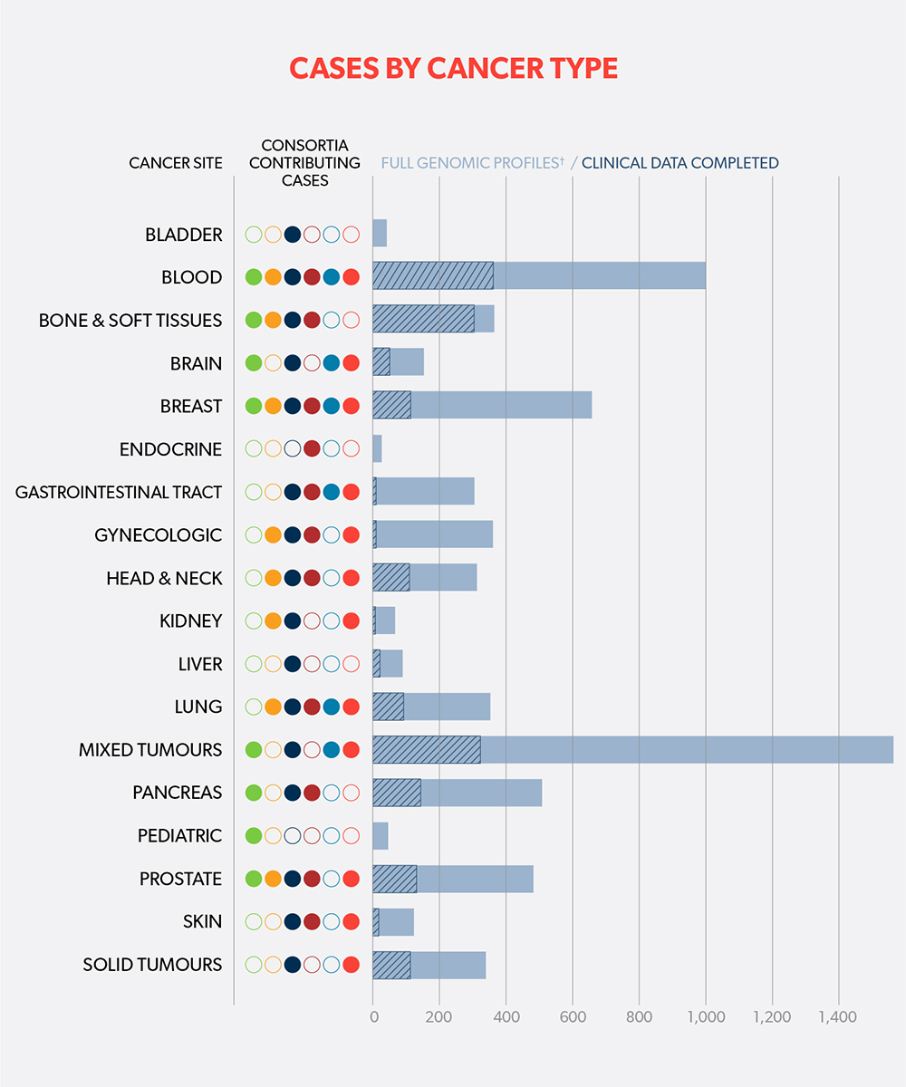 Cases by cancer type