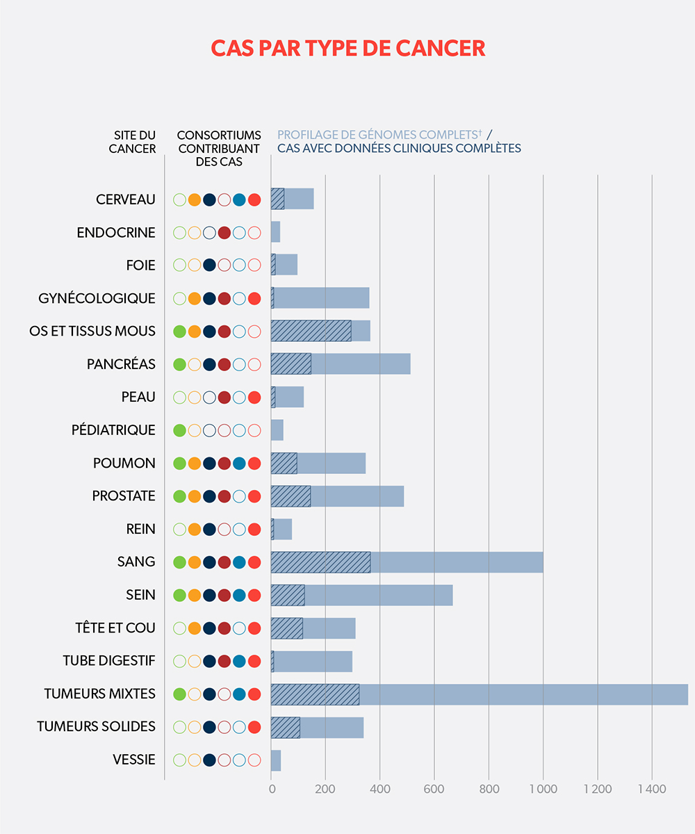 Cases by cancer type